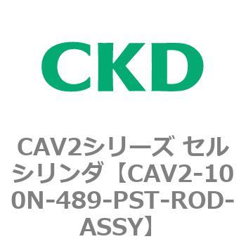 注文コード:81607967 CAV2シリーズ セルシリンダ(CAV2-100N~) CKD