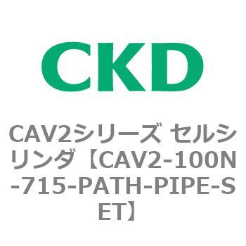 注文コード:81618467 CAV2シリーズ セルシリンダ(CAV2-100N~) CKD