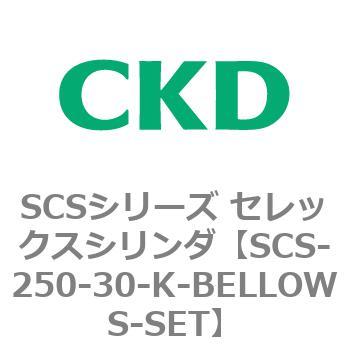 SCSシリーズ セレックスシリンダ(SCS-250-3~) CKD