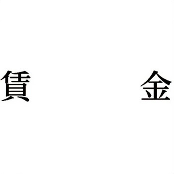 注文コード:00609528 Xスタンパー 科目印 シヤチハタ