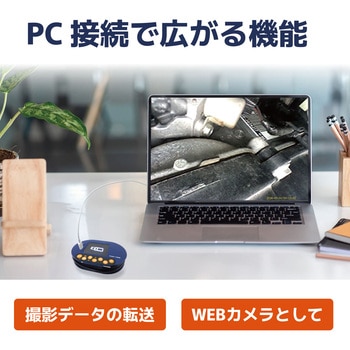注文コード:02559108 ファイバースコープ ポケットサイズ ケーブル収納可 3.9mm極細ファイバーカメラ モニター付き - ブロードウォッチ