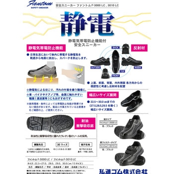 注文コード:02602639,02602648,02602666,02602682,02602691,02602700,02602718,02602727,02602736,02602752,02602761 ファントム F-3010 ローカット - 弘進ゴム