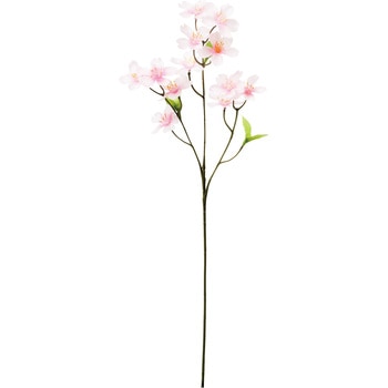 桜 横浜ディスプレイミュージアム