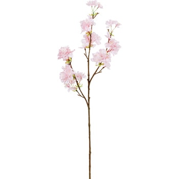 たわわ桜 横浜ディスプレイミュージアム