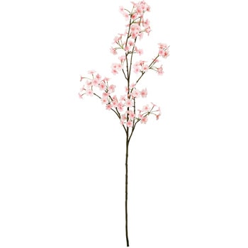 タイニー桜ブランチ 横浜ディスプレイミュージアム
