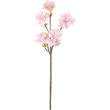 開花桜 横浜ディスプレイミュージアム