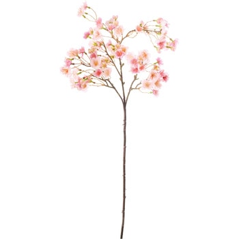 たおやめ桜 横浜ディスプレイミュージアム