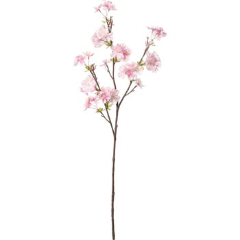 たわわ桜 横浜ディスプレイミュージアム