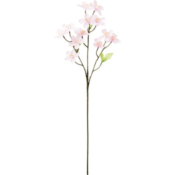 桜 横浜ディスプレイミュージアム