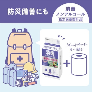 注文コード:02699510 スコッティ ウェットティッシュ 消毒 ノンアルコールタイプ30枚×24パック - 日本製紙クレシア