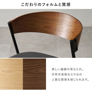 注文コード:02705627,02706002,02706029,02706598,02706616 ダイニングチェア アイアン 北欧 モダン ローバック 選べる脚数 【1脚・2脚・4脚】 - 萩原