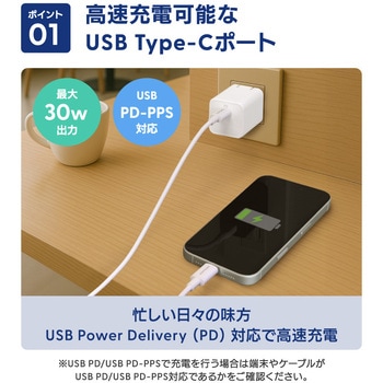 注文コード:02774708 PD30W C×1 AC充電器 Type-C to Cケーブル 1.5m付属 - OWLTECH(オウルテック)