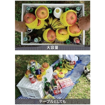 注文コード:02872078 折りたたみ式バスケット - SHUTER