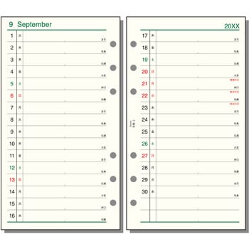 2027年度システム手帳聖書リフィル ダヴィンチ レイメイ藤井