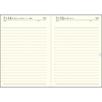 注文コード:03156312 (10)Precious Diary(プレシャスダイアリー) - 高橋書店