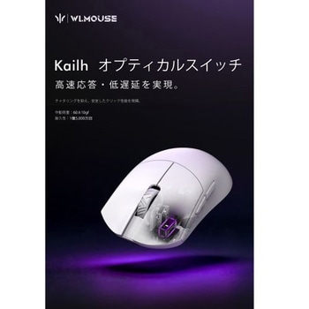 注文コード:03159900,03160469,03160076,03160320,03159909,03160731,03160058 ゲーミングマウス Beast G Max -FEIRENZAI Limited edition- - KIBU