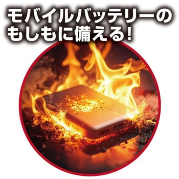 注文コード:03191872 あんしん耐火ポーチ - ニーズ