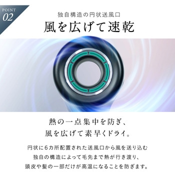 注文コード:03198287 Hair Dryer - NIPLUX