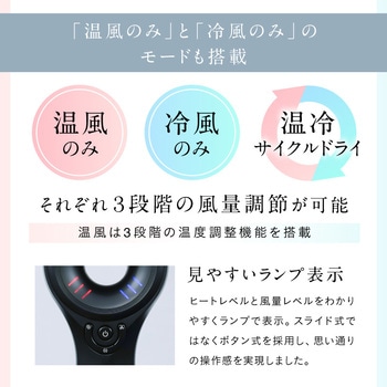 注文コード:03198287 Hair Dryer - NIPLUX