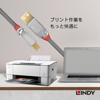 注文コード:03366007 LINDY CROMO LINE USB2.0 Type-A to Type-Bケーブル - LINDY