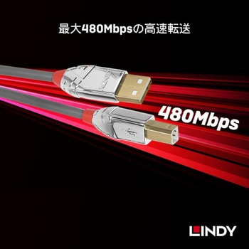 注文コード:03366007 LINDY CROMO LINE USB2.0 Type-A to Type-Bケーブル - LINDY