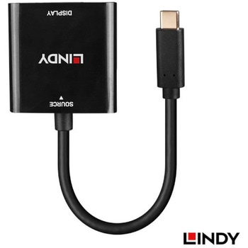 注文コード:03366111 LINDY USB Type C to DisplayPort 4k144 アクティブ変換アダプタ - LINDY