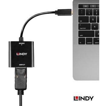 注文コード:03366111 LINDY USB Type C to DisplayPort 4k144 アクティブ変換アダプタ - LINDY