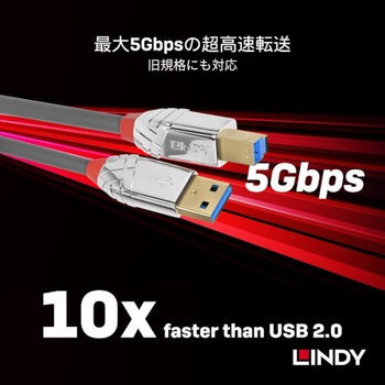 注文コード:03366156 LINDY CROMO LINE USB3.0 Type-A to Type-Bケーブル - LINDY