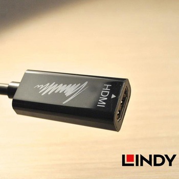 注文コード:03366251 LINDY DisplayPort to HDMI オス/メス 4K変換ケーブル - LINDY