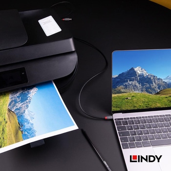 注文コード:03366321 LINDY ANTHRA LINE USB3.2 Gen 1 Type-C to Type-Bケーブル - LINDY