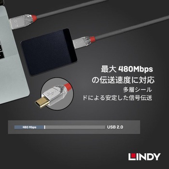 注文コード:03366348 LINDY CROMO LINE USB2.0 Type-A to Mini-Bケーブル - LINDY