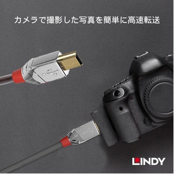 注文コード:03366348 LINDY CROMO LINE USB2.0 Type-A to Mini-Bケーブル - LINDY