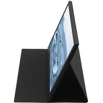 注文コード:03377636 ITPROTECH アイティプロテック IPS方式フルHD 15.6型モバイルモニター - ITPROTECH