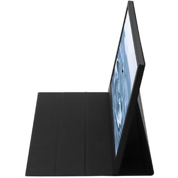 注文コード:03377636 ITPROTECH アイティプロテック IPS方式フルHD 15.6型モバイルモニター - ITPROTECH