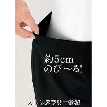 注文コード:03439918,03440076,03440250,03442316,03442962,03444249,03445369,03445457,03445877,03445911,03446392,03450409,03450576,03452116,03452676,03453069 スカート - en joie (アンジョア) (旧:JOIE(ジョア))