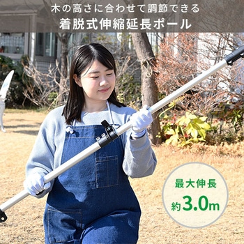 注文コード:03441746,03441850 2WAYポールヘッジトリマー 充電式 刈込幅約300mm 両刃タイプ - YAMAZEN(山善)