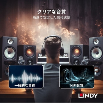注文コード:03574379 LINDY プレミアムゴールド TOSLINK 光デジタルオーディオ オプティカルケーブル - LINDY