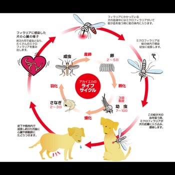 注文コード:03950970 殺虫・虫よけボディースプレー - アース・ペット