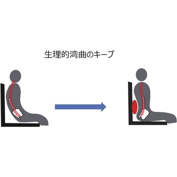 注文コード:04142271 Dウィングバック 車いす用クッション 25-2379-00 ユーキ・トレーディング MB032-01 - ユーキトレーディング