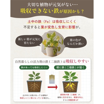 注文コード:04858231 水でうすめる植物の活力剤 - 日東エフシー