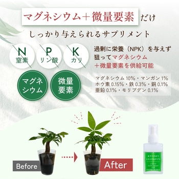 注文コード:04858267 水でうすめてミストするサプリ - 日東エフシー