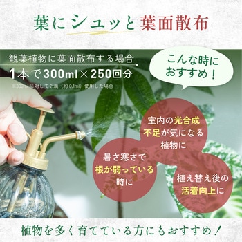 注文コード:04858267 水でうすめてミストするサプリ - 日東エフシー