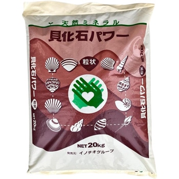 注文コード:04859028 貝化石パワー - イノチオグループ