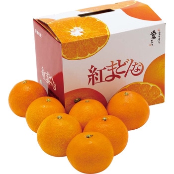 愛媛県産 紅まどんな ノーブランド