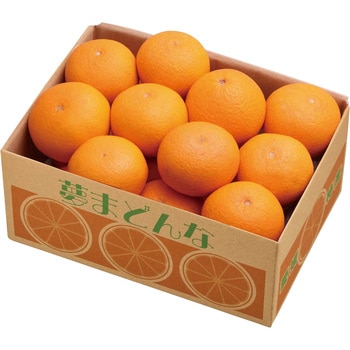 愛媛県産 夢まどんな ノーブランド