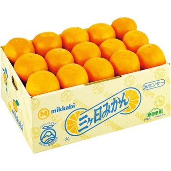 静岡県産 三ケ日みかん ノーブランド