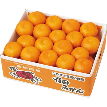 和歌山県産 有田みかん ノーブランド