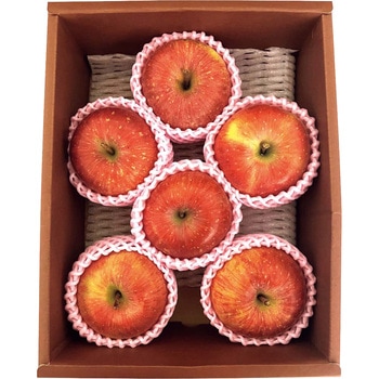 アグリードグループ 福島県産 サンふじりんご ノーブランド