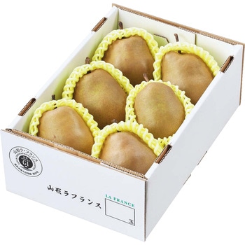 山形県産 スーパーラフランス ノーブランド