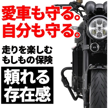 注文コード:04873098 パイプエンジンガードZ900RS/SE - DAYTONA(デイトナ)